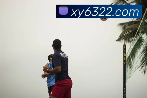 多终端兼容